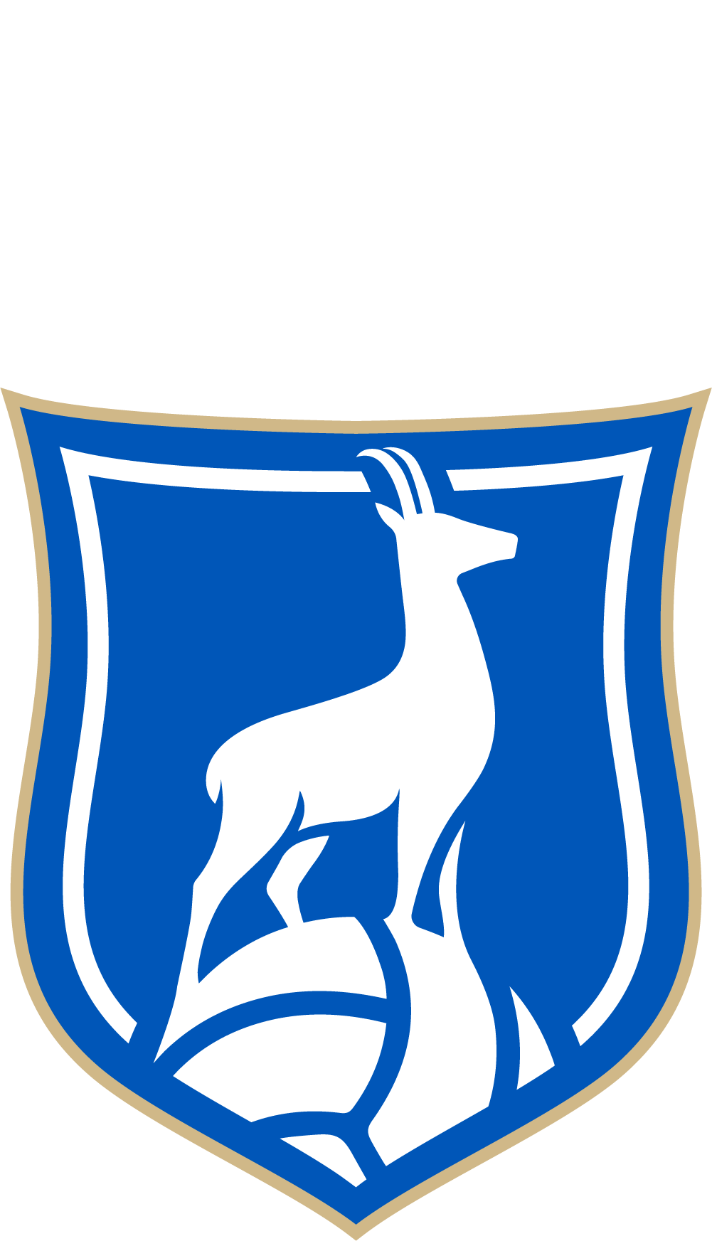 Chamois Niortais Saint-Flo